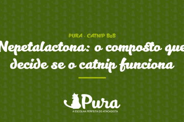 Nepetalactona no catnip da Pura: 0,83% atestado em laudo, secagem controlada e vácuo de 2 anos