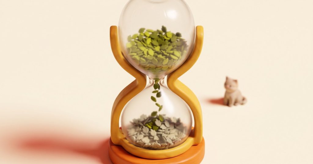 Quanto tempo a catnip dura — e por que a embalagem decide a sua margem